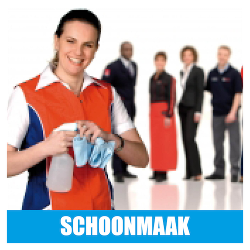 schoonmaak.png